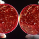 Image for article titled Is Vat-Grown Meat Kosher? We Asked A Rabbi